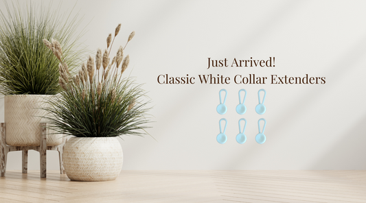 6 Collar Extenders in the center with the text overlay "Just Arrived! Classic White Collar Extenders"